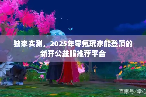 独家实测，2025年零氪玩家能登顶的新开公益服推荐平台