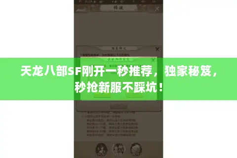 天龙八部SF刚开一秒推荐，独家秘笈，秒抢新服不踩坑！