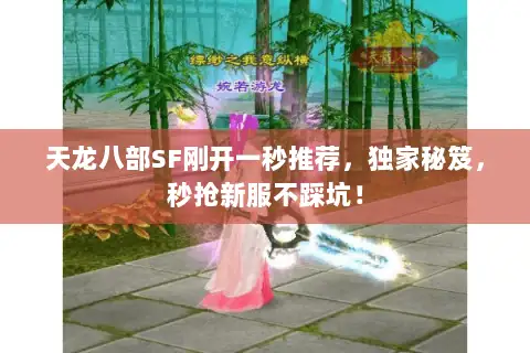 天龙八部SF刚开一秒推荐，独家秘笈，秒抢新服不踩坑！