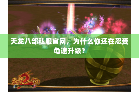 天龙八部私服官网，为什么你还在忍受龟速升级？