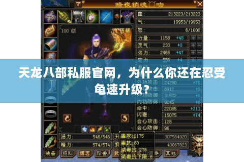天龙八部私服官网，为什么你还在忍受龟速升级？