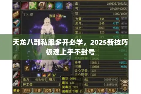 天龙八部私服多开必学,2025新技巧极速上手不封号 天龙八部私服多开必学,2025新技巧极速上手不封号