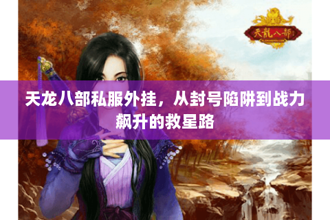 天龙八部私服外挂，从封号陷阱到战力飙升的救星路