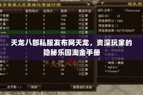 天龙八部私服发布网天龙，资深玩家的隐秘乐园淘金手册