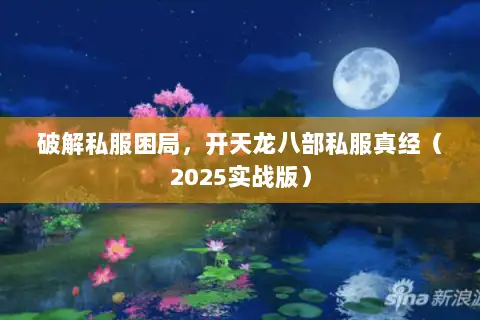 破解私服困局,开天龙八部私服真经(2025实战版) 破解私服困局,开天龙八部私服真经(2025实战版)