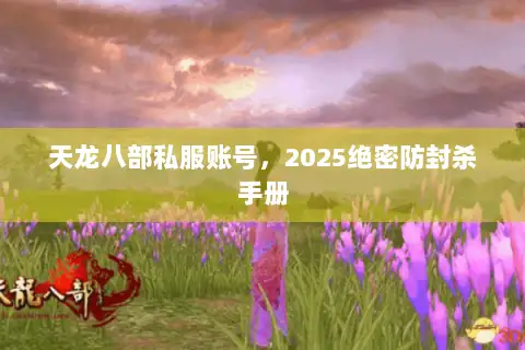 天龙八部私服账号，2025绝密防封杀手册