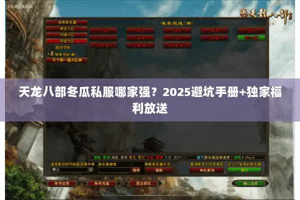天龙八部冬瓜私服哪家强？2025避坑手册+独家福利放送