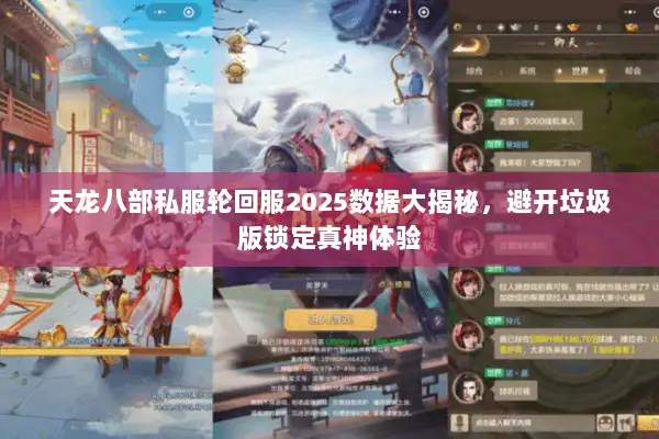 天龙八部私服轮回服2025数据大揭秘,避开垃圾版锁定真神体验 天龙八部私服轮回服2025数据大揭秘,避开垃圾版锁定真神体验