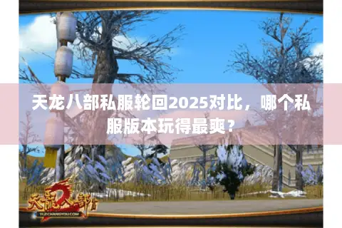 天龙八部私服轮回2025对比,哪个私服版本玩得最爽? 天龙八部私服轮回2025对比,哪个私服版本玩得最爽?