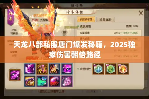 天龙八部私服唐门爆发秘籍,2025独家伤害翻倍路径 天龙八部私服唐门爆发秘籍,2025独家伤害翻倍路径