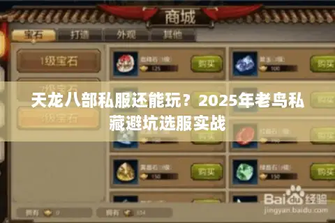 天龙八部私服还能玩？2025年老鸟私藏避坑选服实战