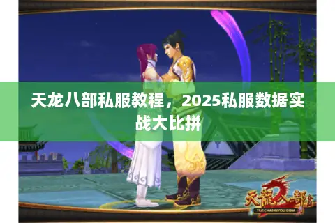 天龙八部私服教程,2025私服数据实战大比拼 天龙八部私服教程,2025私服数据实战大比拼