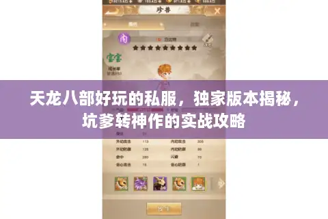 天龙八部好玩的私服，独家版本揭秘，坑爹转神作的实战攻略
