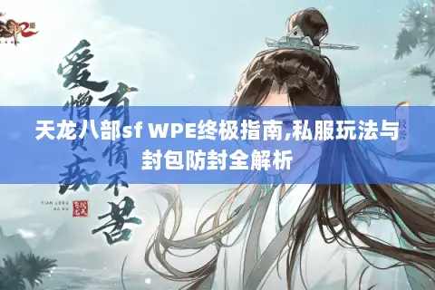 天龙八部sf WPE终极指南,私服玩法与封包防封全解析
