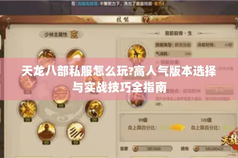 天龙八部私服怎么玩?高人气版本选择与实战技巧全指南