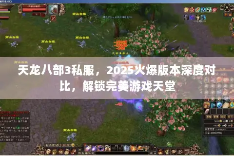 天龙八部3私服，2025火爆版本深度对比，解锁完美游戏天堂