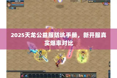 2025天龙公益服防坑手册，新开服真实爆率对比