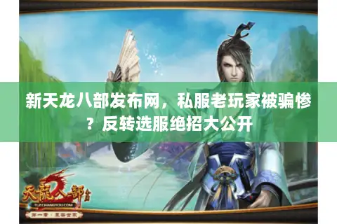 新天龙八部发布网，私服老玩家被骗惨？反转选服绝招大公开