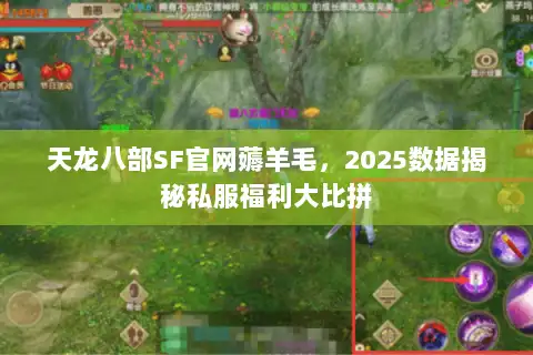 天龙八部SF官网薅羊毛，2025数据揭秘私服福利大比拼