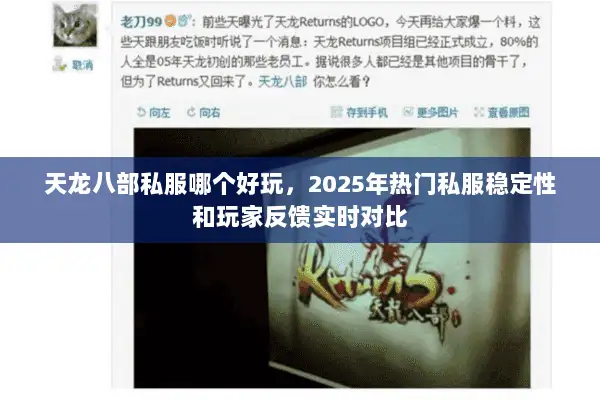天龙八部私服哪个好玩,2025年热门私服稳定性和玩家反馈实时对比 天龙八部私服哪个好玩,2025年热门私服稳定性和玩家反馈实时对比