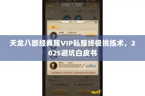 天龙八部经典服VIP私服终极挑拣术，2025避坑白皮书
