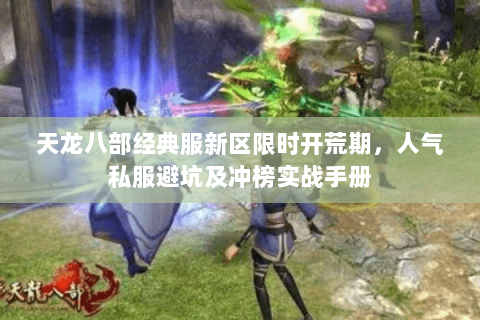 天龙八部经典服新区限时开荒期，人气私服避坑及冲榜实战手册