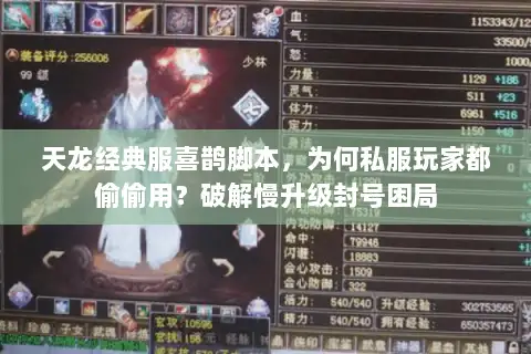 天龙经典服喜鹊脚本,为何私服玩家都偷偷用?破解慢升级封号困局 天龙经典服喜鹊脚本,为何私服玩家都偷偷用?破解慢升级封号困局
