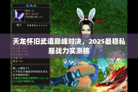 天龙怀旧武道巅峰对决，2025最稳私服战力实测榜
