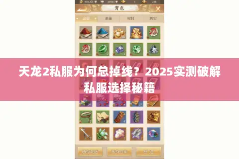 天龙2私服为何总掉线？2025实测破解私服选择秘籍