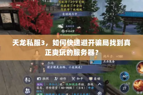 天龙私服3，如何快速避开骗局找到真正爽玩的服务器？
