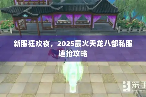 新服狂欢夜,2025最火天龙八部私服速抢攻略 新服狂欢夜,2025最火天龙八部私服速抢攻略
