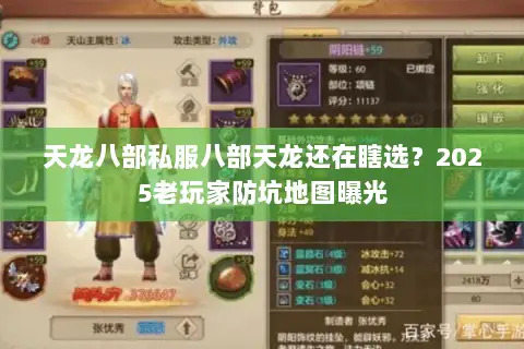 天龙八部私服八部天龙还在瞎选？2025老玩家防坑地图曝光