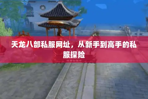 天龙八部私服网址,从新手到高手的私服探险 天龙八部私服网址,从新手到高手的私服探险