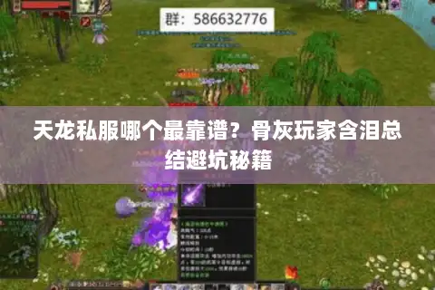 天龙私服哪个最靠谱？骨灰玩家含泪总结避坑秘籍