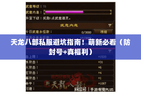 天龙八部私服避坑指南!萌新必看(防封号+真福利) 天龙八部私服避坑指南!萌新必看(防封号+真福利)