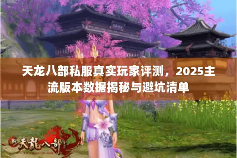天龙八部私服真实玩家评测，2025主流版本数据揭秘与避坑清单