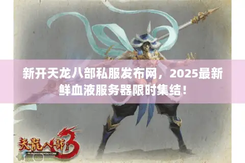 新开天龙八部私服发布网，2025最新鲜血液服务器限时集结！