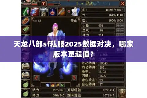 天龙八部sf私服2025数据对决，哪家版本更超值？
