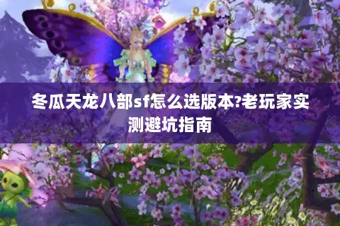冬瓜天龙八部sf怎么选版本?老玩家实测避坑指南