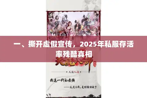 一、撕开虚假宣传,2025年私服存活率残酷真相 一、撕开虚假宣传,2025年私服存活率残酷真相