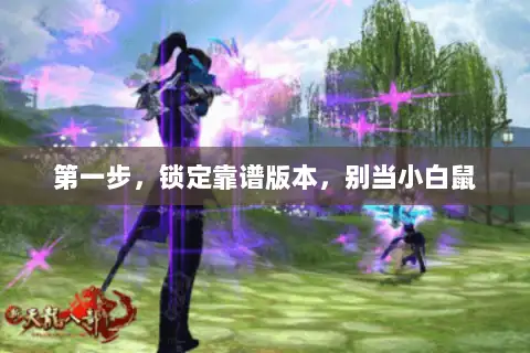 第一步,锁定靠谱版本,别当小白鼠 第一步,锁定靠谱版本,别当小白鼠