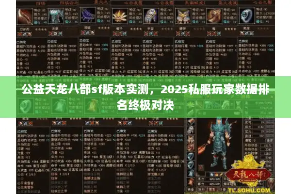 公益天龙八部sf版本实测,2025私服玩家数据排名终极对决 公益天龙八部sf版本实测,2025私服玩家数据排名终极对决