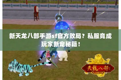 新天龙八部手游sf官方败局？私服竟成玩家新宠秘籍！