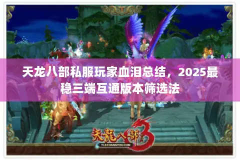 天龙八部私服玩家血泪总结，2025最稳三端互通版本筛选法