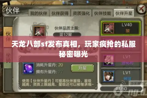 天龙八部sf发布真相,玩家疯抢的私服秘密曝光 天龙八部sf发布真相,玩家疯抢的私服秘密曝光