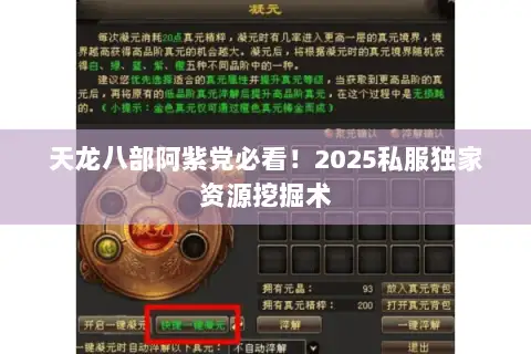天龙八部阿紫党必看！2025私服独家资源挖掘术