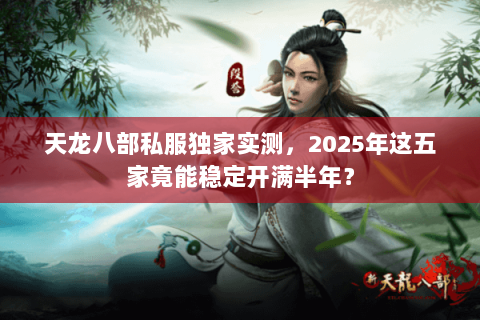 天龙八部私服独家实测，2025年这五家竟能稳定开满半年？