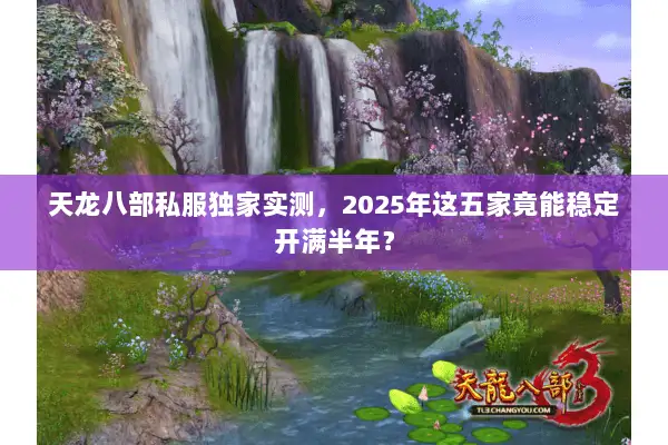 天龙八部私服独家实测，2025年这五家竟能稳定开满半年？