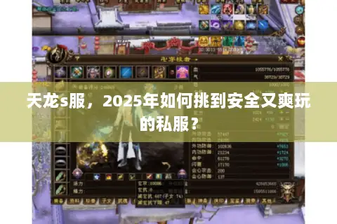 天龙s服,2025年如何挑到安全又爽玩的私服? 天龙s服,2025年如何挑到安全又爽玩的私服?