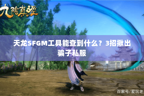 天龙SFGM工具能查到什么？3招揪出骗子私服